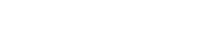vb-logo-branco